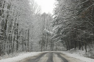 Bitter Cold Awakens Day Ahead Electric Markets